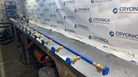 Рампа наполнительная  на 40 баллонов РНП 02/20/200